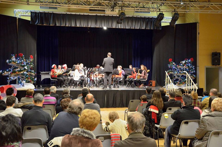 Lors de l'audition de Noël 2015